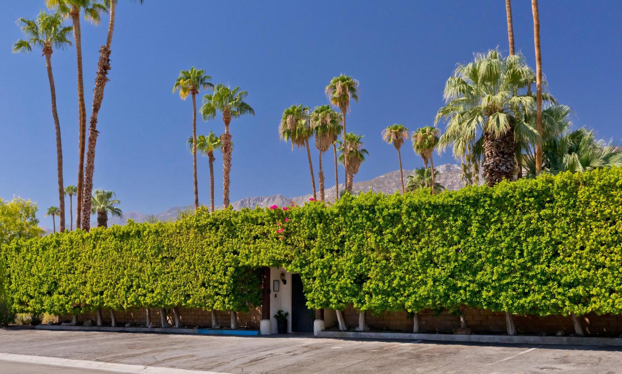 La Maison Hotel - Adults Only Palm Springs Ngoại thất bức ảnh